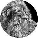 Gary T Neal profile picture